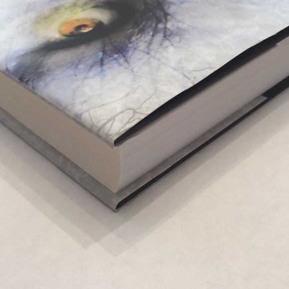 Reckless by Cornelia Funke Hardcover w/ Dust Jacket 352 pages Original 2010 - Picture 4 of 13